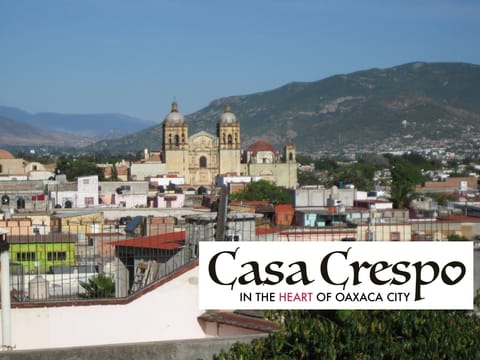 View from the terrace