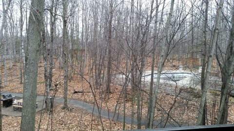 outdoor view from living room windows-outdoor pool is beyond path