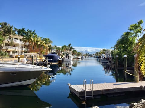 View of Canal from Docks