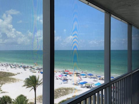 The view!