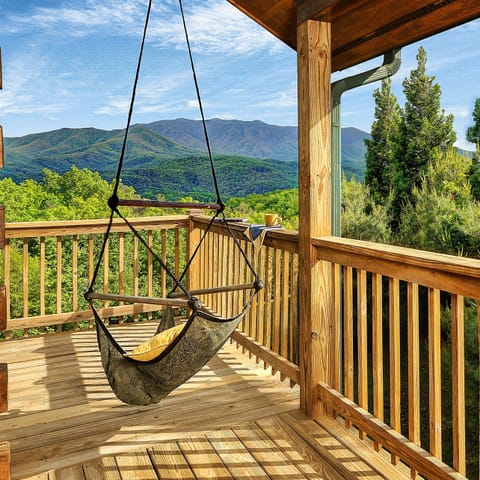 Welcome to our Backyard-  let  the kid in you swing  your cares away!