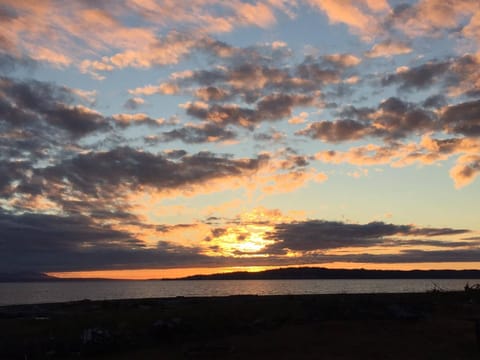 Endless Sunsets