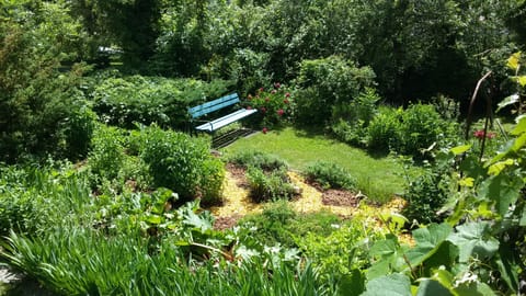 The garden and bench at the side of the house