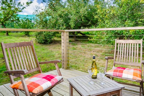 Early evening drinks on the decking in the orchard.
