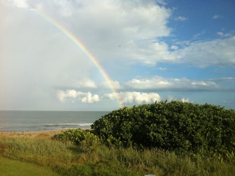 You've found your Pot O Gold
