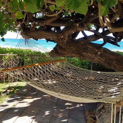 Time to relax in the hammock.