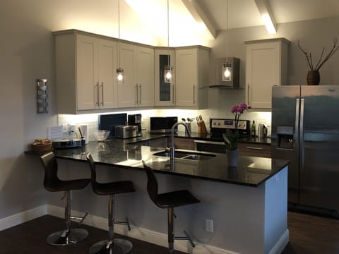 Gourmet kitchen with huge bar