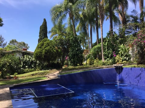 40ft heated tile pool w/ luxurious gardens/Alberca de 13 mts. rodeada de jardine
