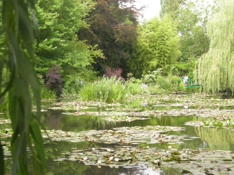 Monet's garden, Giverny