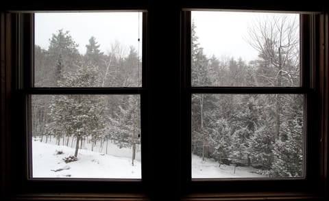 Wintery view of the brook from master seating area.