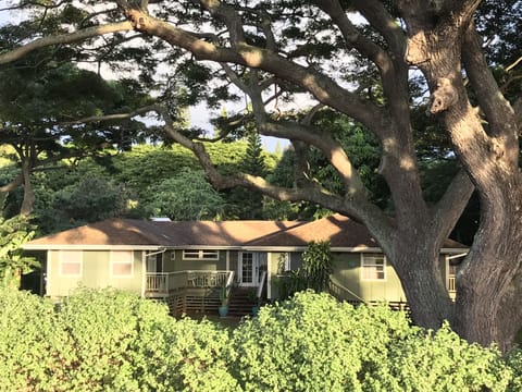 Napili House, front exterior