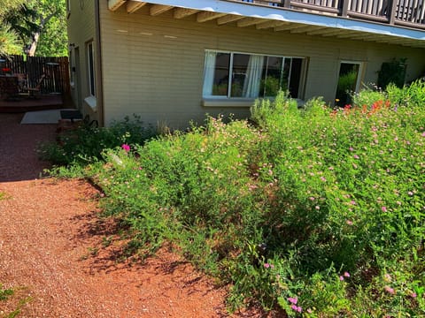 Outside view of the suite. You have the downstairs all to yourselves!