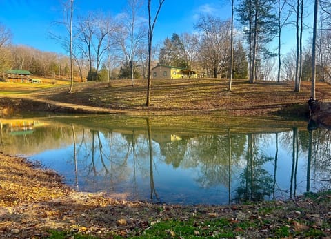 Enjoy the pond as you take a walk outdoors in this peaceful place.