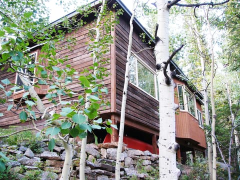 Lots of glass overlooking the creek.