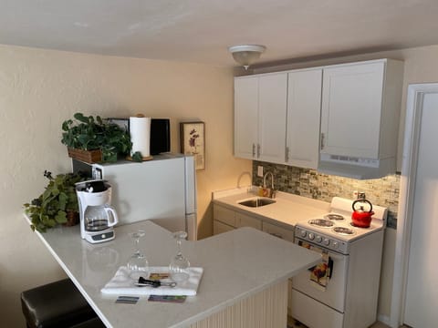 NEW KITCHEN....GUESTS LOVE SOCIALIZING AT THE  QUARTZ BAR COUNTER.  