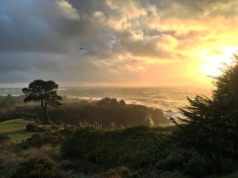 12-24-15 Guest just sent me this. This view is what you get folks! Unbelievable