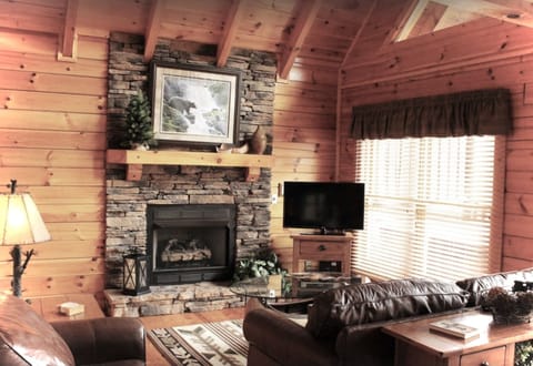 Den with gas fireplace 