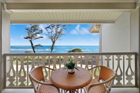 Spot whales in the winter months