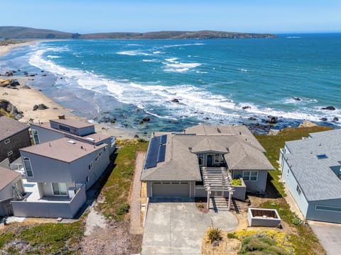 You can easily watch the surfers or the whale migration
