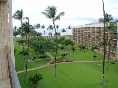 MS502B Lanai View