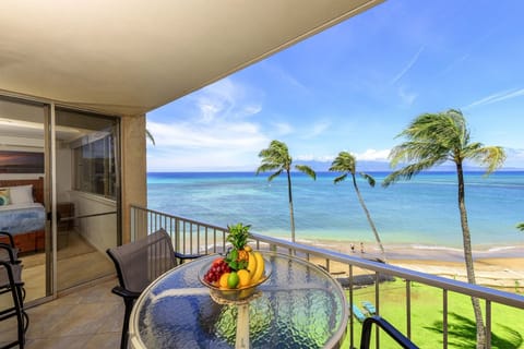 view from the lanai