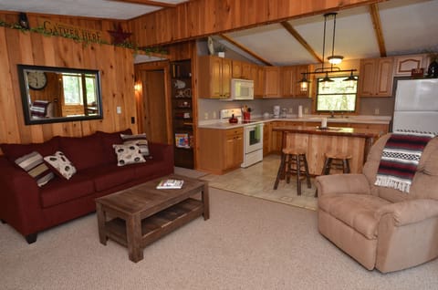 Open floor plan fosters social activity while relaxing and preparing meals.