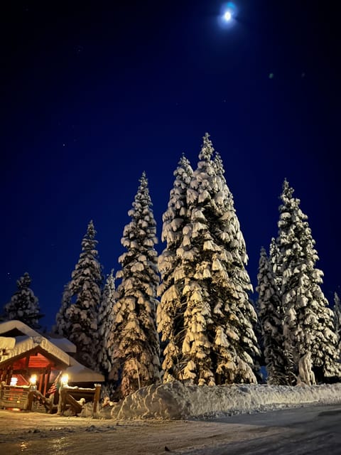 A moonlit winter night.