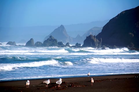 from Irish Beach