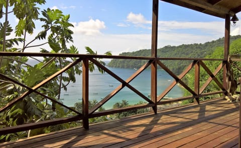 Deck view
