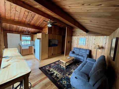 Complete living room renovation