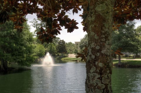 Demere Landing – Serene Lake & Fountain on Property - Step outside and enjoy the peaceful grounds of Demere Landing, where a quiet lake and bubbling fountain offer a scenic backdrop for morning strolls, reading by the water, or spotting turtles from the shaded banks.