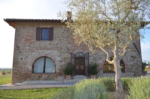 view from the old olive grove