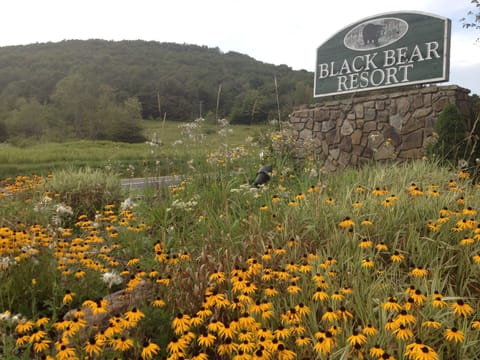The entrance to Black Bear Resort.