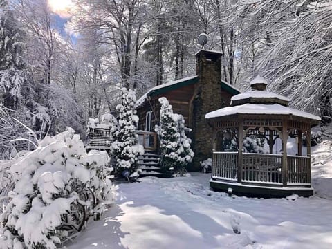 Enjoy a Winter Wonderland as the cabin is located in the High Country. 