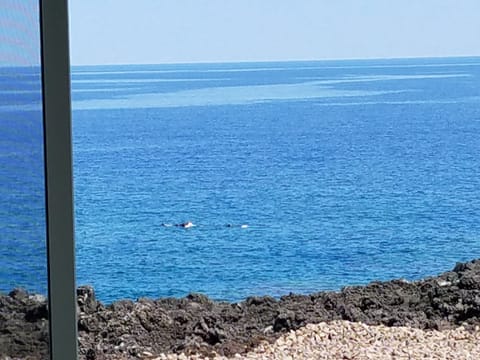 View from table, note snorklers swimming by. We are at water's edge !