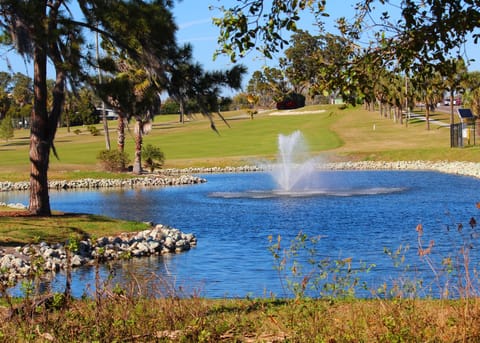 Nearby Tarpon Springs