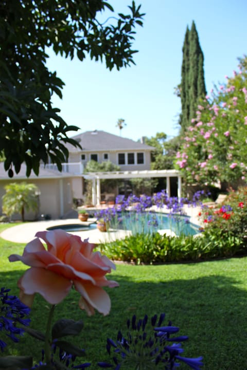 Large picturesque backyard includes abundance of flowers & mature fruit trees.