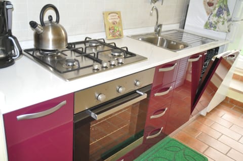 The kitchen (brand new) with dishwasher