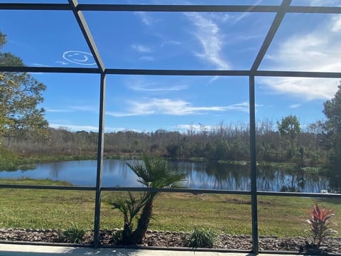 Florida tranquility...