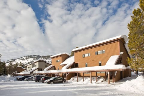 Apex Real Estate and Property Management Views!