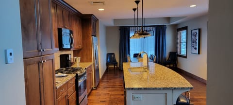 Full Gourmet Kitchen 