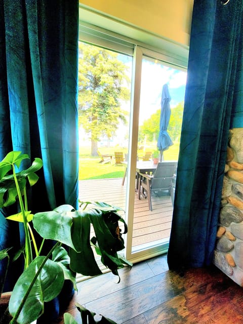 Loon Looking Outside