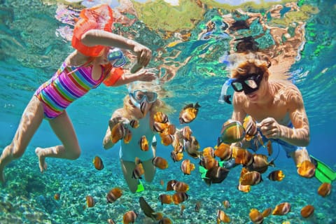 Family snorkeling adventure in crystal-clear waters surrounded by colorful tropical fish. Perfect for creating unforgettable Maui memories, with world-famous Napili and Kapalua Bay just within walking distance for more ocean fun and exploration!