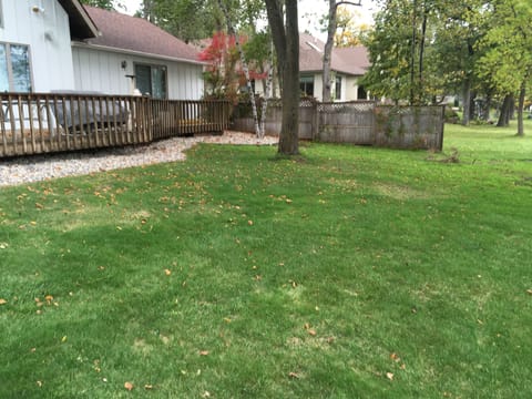 Large yard area for games