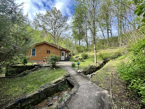 walkway to our cabin with forrest creek and large backyard