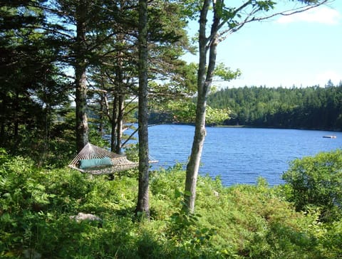 Looking up Hodgdon Pond 