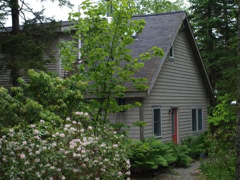 Entry path to Cottage 2