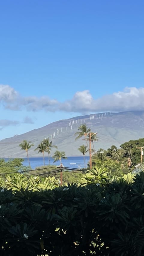 Ocean view from kitchen, living area and lanai