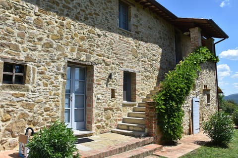 the back of the house