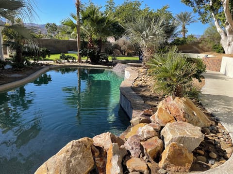 Private saltwater oasis pool